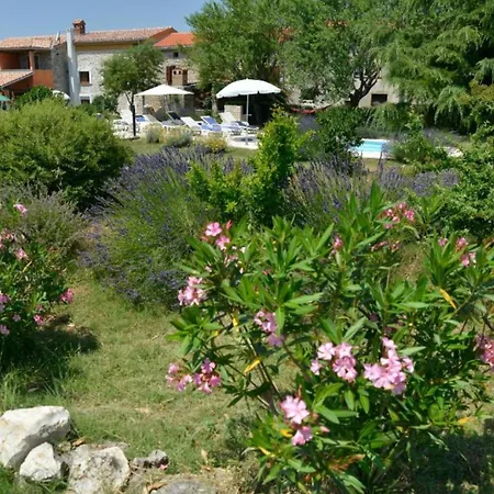 Authentic Istrian For Unforgettable