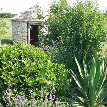 Casa vacanze Authentic Istrian For Unforgettable