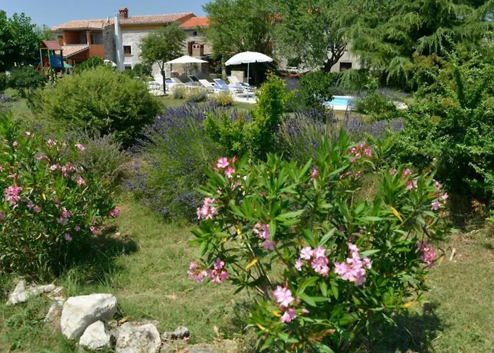 Authentic Istrian For Unforgettable